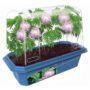 Sprouter Terrarium – The Astounding Moving Plant
